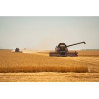 Saiba as vantagens de ser cliente Scherer Agro!