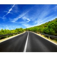 Dia Mundial do Meio Ambiente!