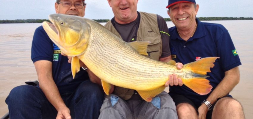 Clube da Pesca Scherer: Temporada 2016