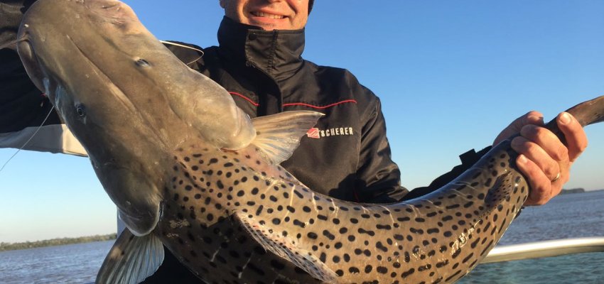 Clube da Pesca Scherer 