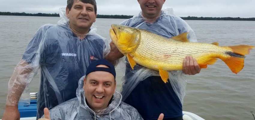 T&aacute; estressado? Vem pescar com a Scherer!
